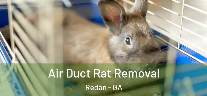  Air Duct Rat Removal Redan - GA