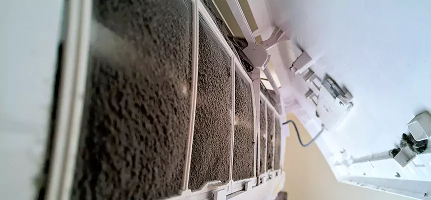 Preventive Air Duct Bacteria Removal in Redan