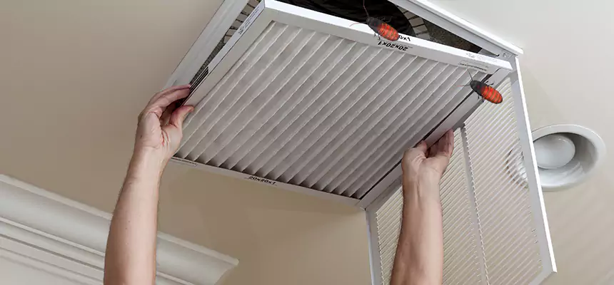 Preventive Cockroach-Proofing for Ducts in Redan