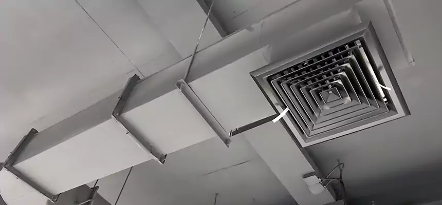 Our Pest Removal From Ducts Services in Redan, GA