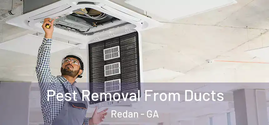 Pest Removal From Ducts Redan - GA