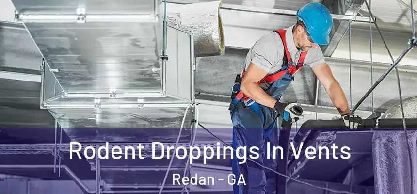 Rodent Droppings In Vents Redan - GA