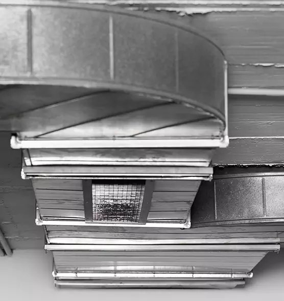 Professional Air Duct Pet Hair Removal in Redan, GA