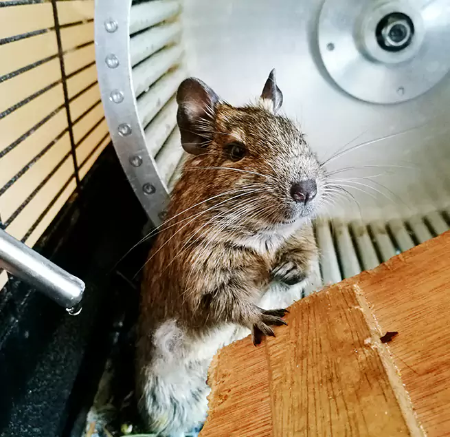 Why Homeowners & Businesses Trust Us Redan, GA?