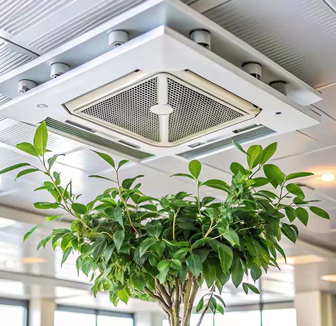 Why Homeowners & Businesses Trust Us in Redan, GA?