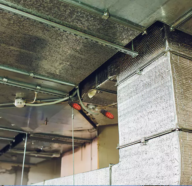 Why Homeowners & Businesses Trust Us Redan, GA?