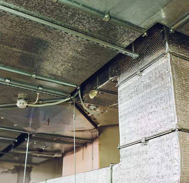 Why Homeowners & Businesses Trust Us in Redan, GA?